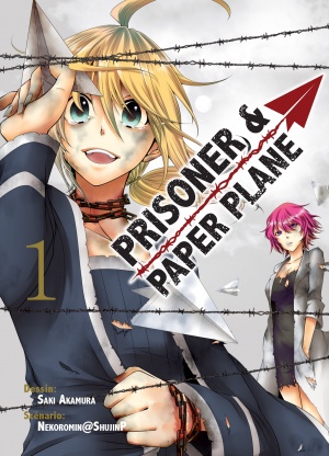 Prisoner and paper plane