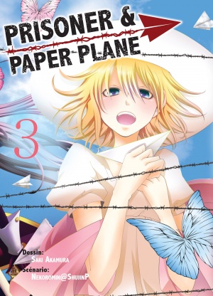 Prisoner and paper plane